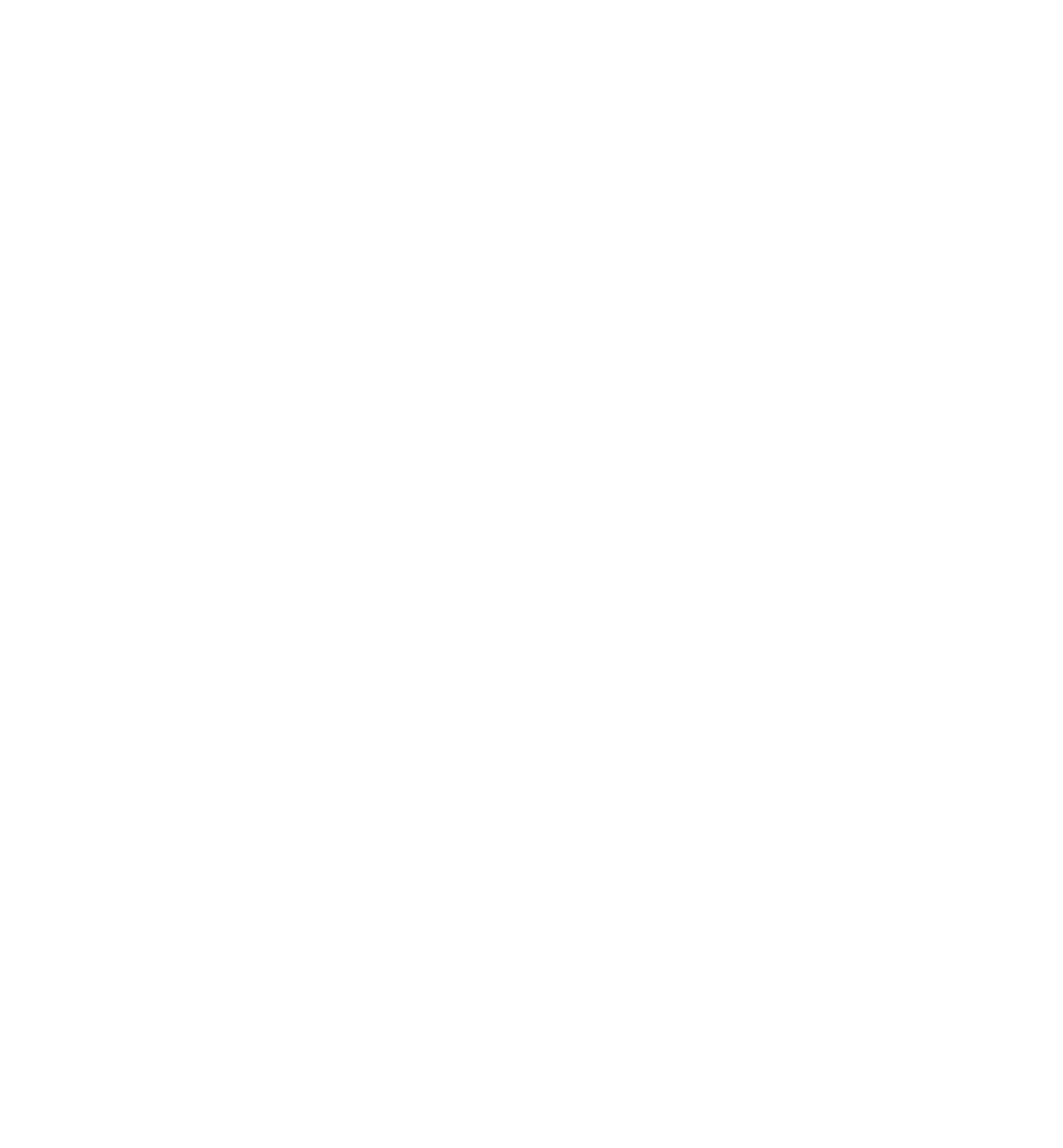 Logo Branca Transformando Faces